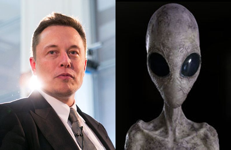 Elon Musk Alien