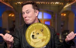 Dogecoin Elon Musk SNL_
