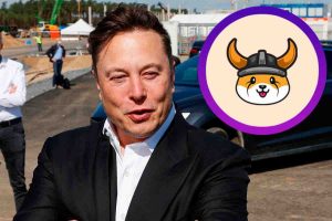 Elon Musk Floki Inu