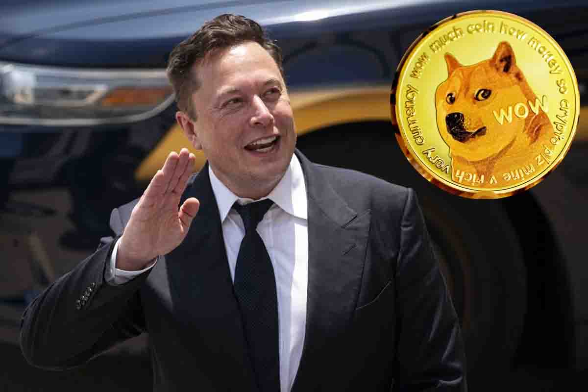 Elon Musk Shiba Inu