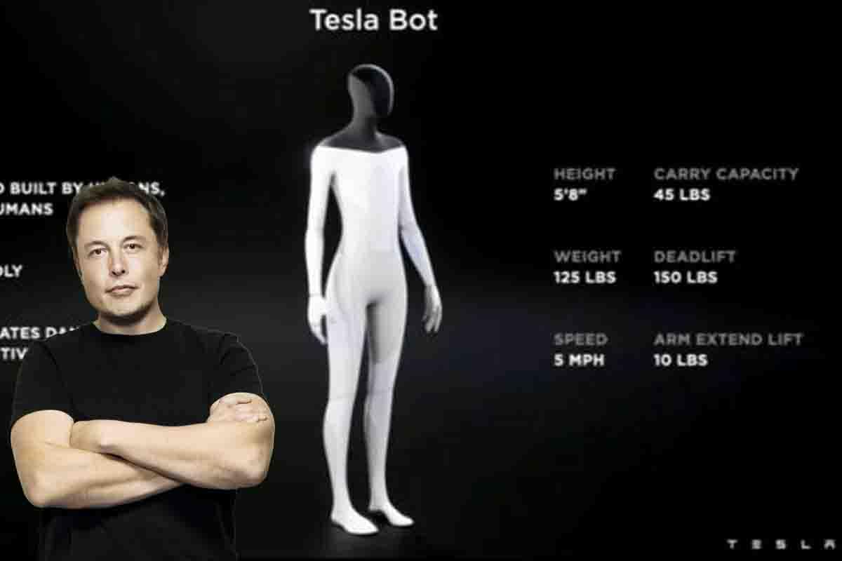 Elon Musk Tesla Bot