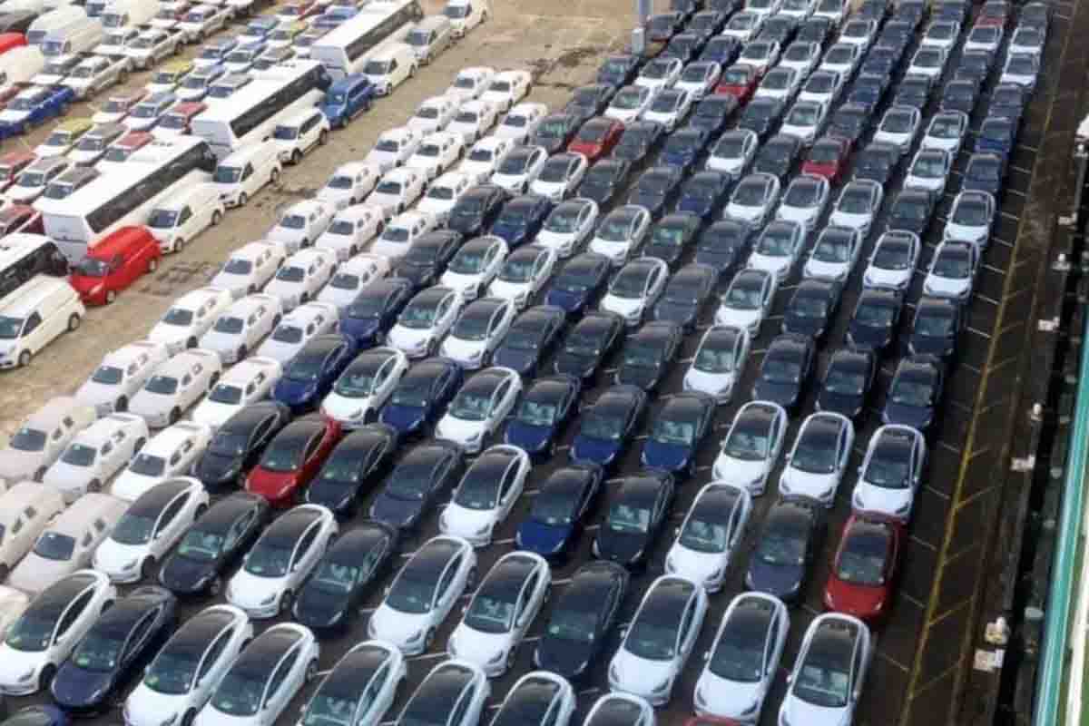 Tesla Auckland Port, New Zealand